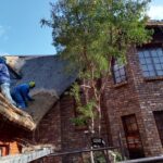 Lodge re thatching water reed project