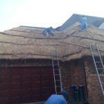 Thatch maintenance trimming teamwork