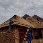 Thatch roof rejuvenation brushing project