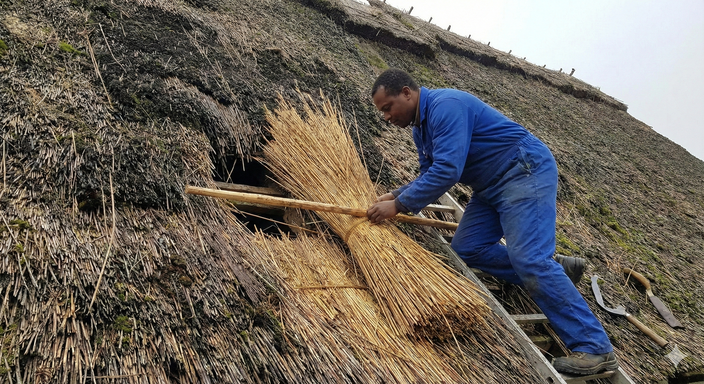 Thatch roof repairs