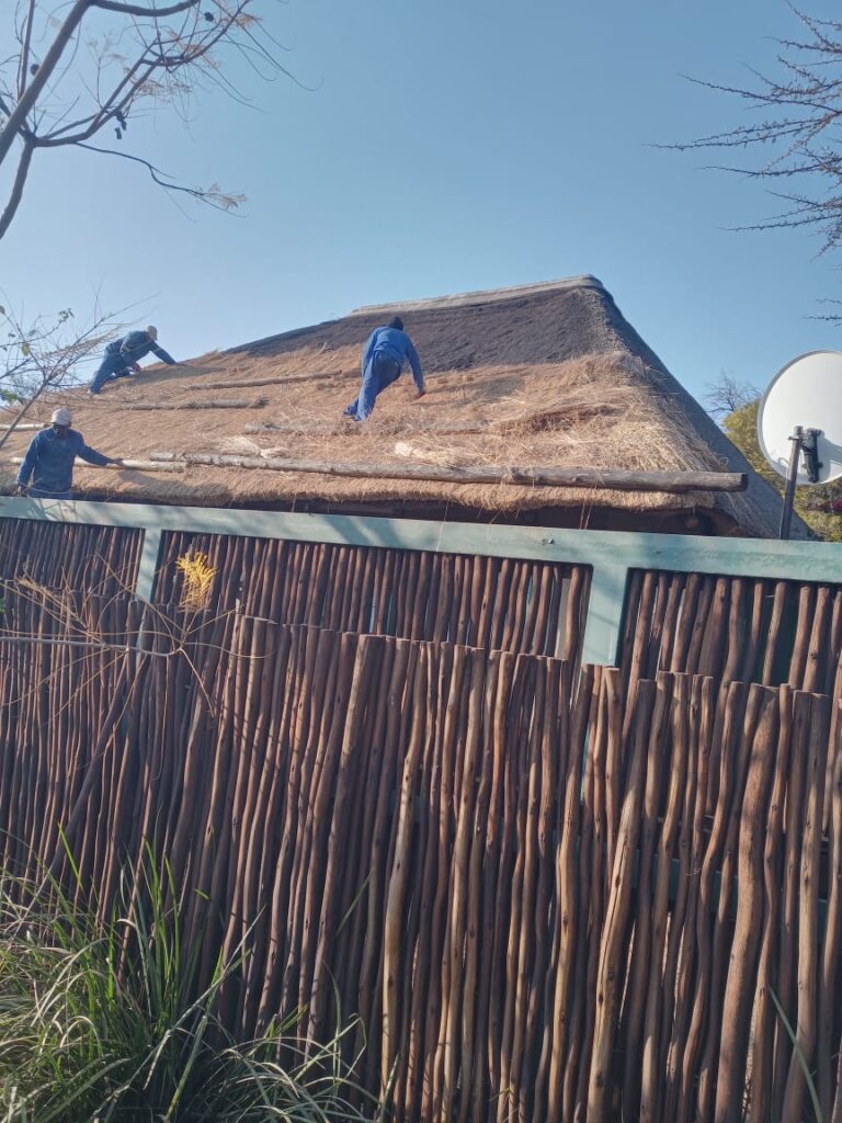 Thatchers employees on the roof